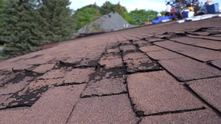 Best 4 Ply Roofing  in Holmes Beach, FL