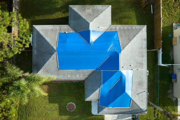 Best Gutter Installation and Repair  in Holmes Beach, FL