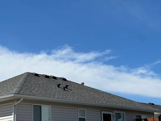 Best Storm Damage Roof Repair  in Holmes Beach, FL